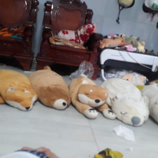 Gấu bông thiên kim