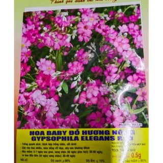 Hạt giống HOA BABY ĐỎ - GÓI 0,5 GRAM
