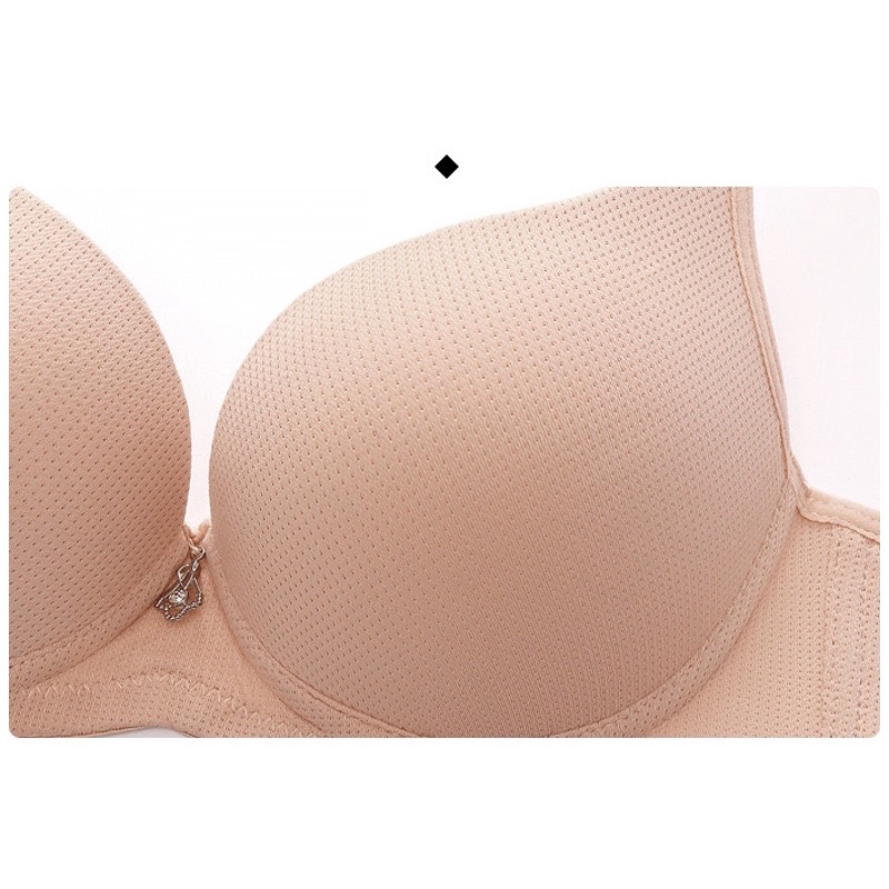 Áo ngực quả trơn fom đẹp đệm mỏng,sâu thông hơi 022