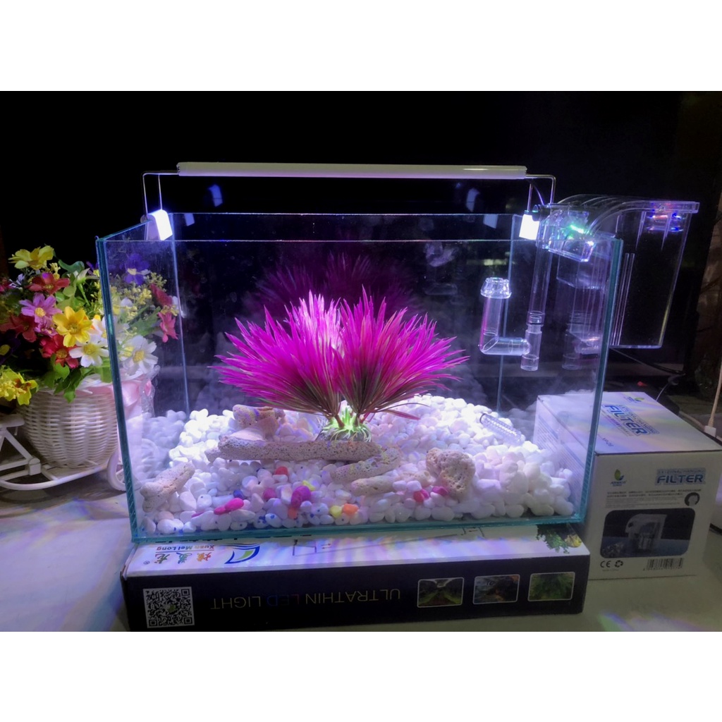 Hồ cá, bể cá cảnh thủy sinh FULL COMBO 6 món phụ kiện D32 R20 H20