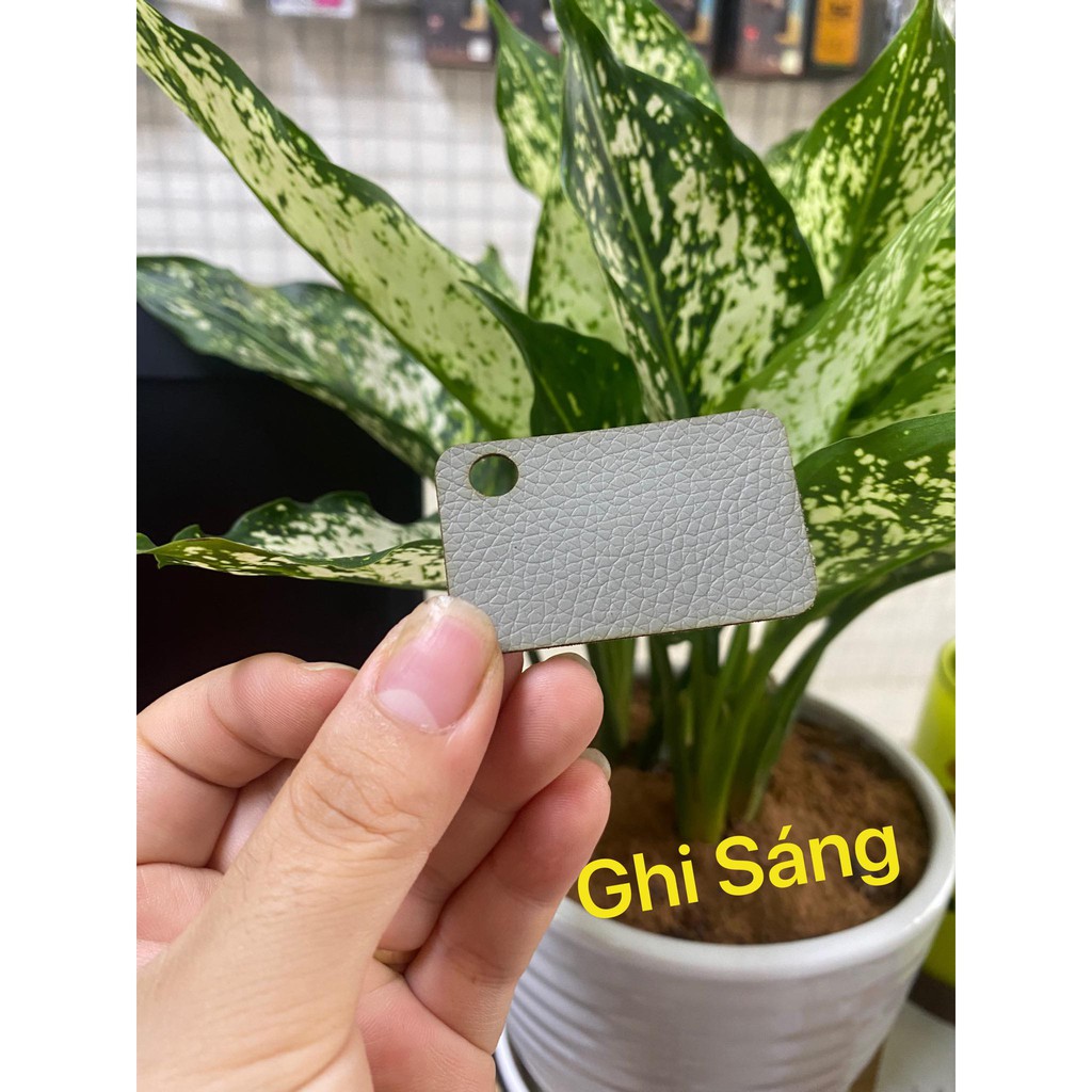 Dán da lưng trơn 1 màu cho Blackberry Q20