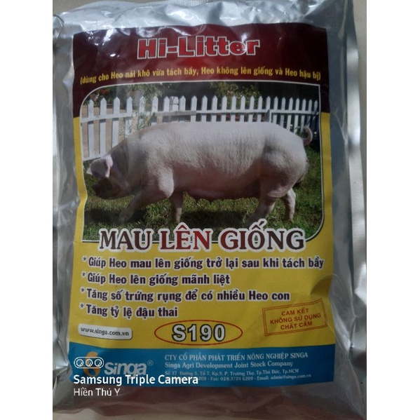 MAU LÊN GIỐNG