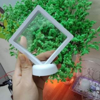 Combo 10 Đế trưng bày trang sức kẹp