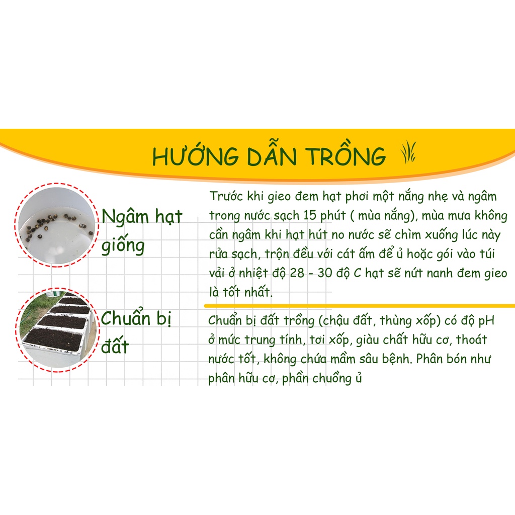 Hạt giống Đậu Cove Bụi Lùn ( Gói 10 Gram ) - Nông Sản Vàng