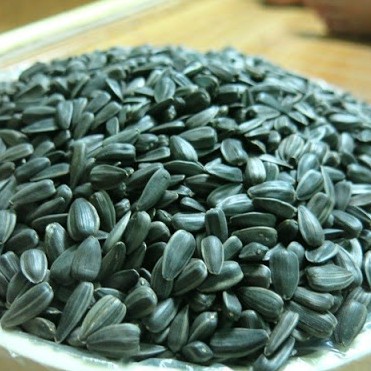 100g Hướng Dương cho Hamster-Rat-Đuôi Mập