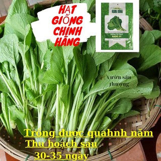 [ Rạng Đông] Hạt Giống Rau Cải Ngọt Rado 54 Rạng Đông (20g) Cây Khỏe, Kháng Bệnh Tốt