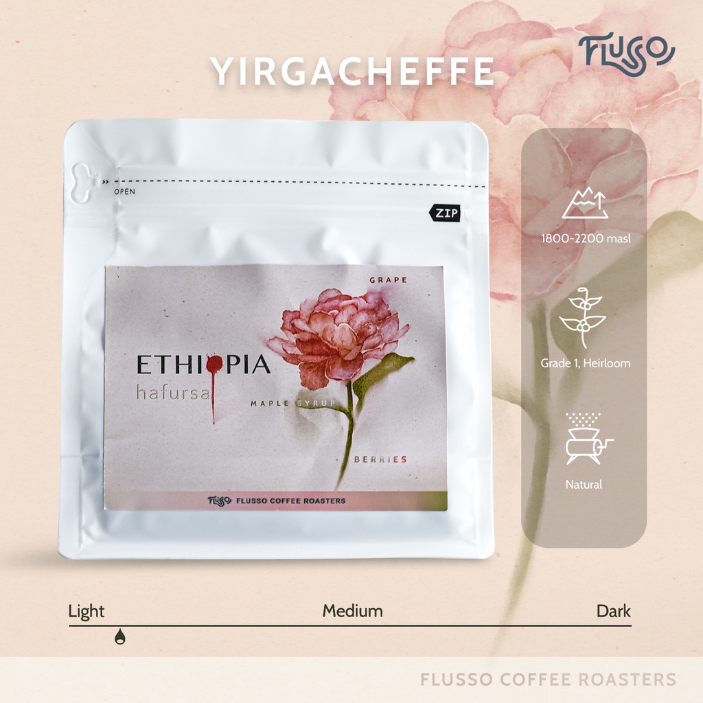 Cà phê Specialty Ethiopia Yirgacheffe Hafursa