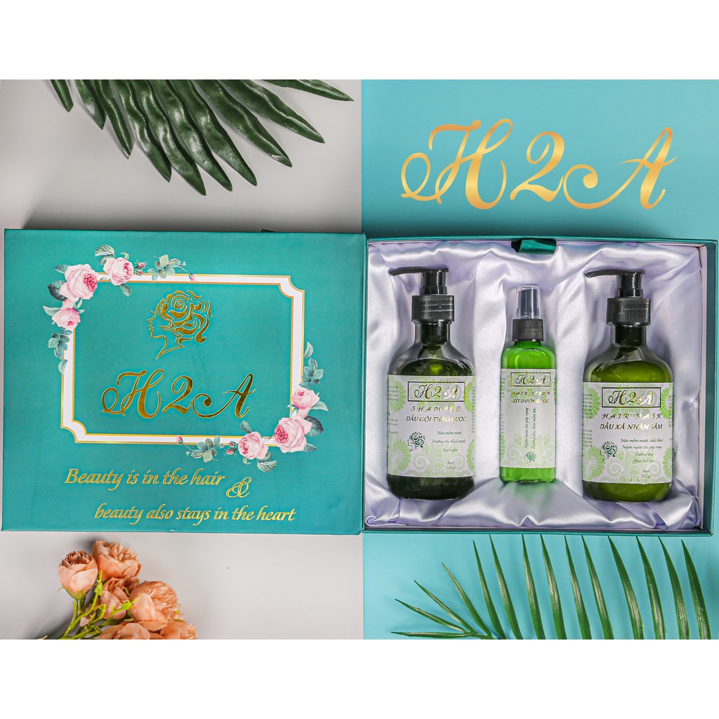 COMBO NGĂN RỤNG TÓC, KÍCH THÍCH MỌC TÓC H2A | BigBuy360 - bigbuy360.vn