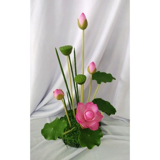 Chậu sen 100% đất sét cao trên 30cm