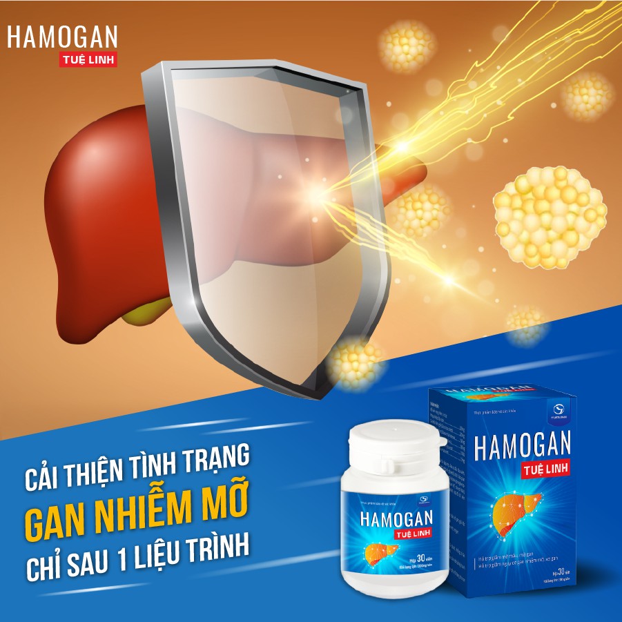 Hamogan Tuệ Linh | Giúp giảm mỡ máu, mỡ gan, giải độc gan, tăng cường chức năng gan