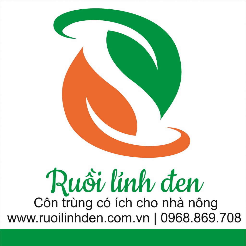 Ruồi Lính Đen BSF