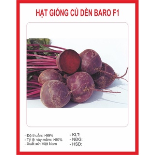 Hạt giống CỦ DỀN 2Gram hạt giống bốn mùa