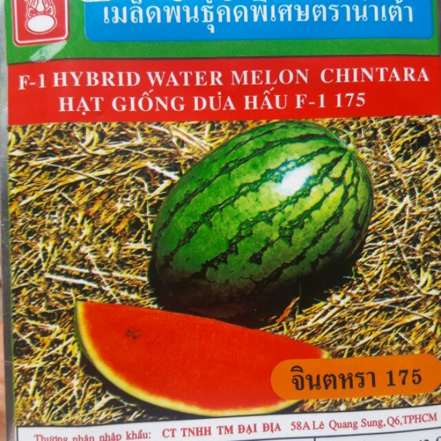 Hạt giống Dưa hấu thái F1 nguyên tem hàng thái - Rau củ quả trồng tại vườn, sân thượng, nông trang, ban công