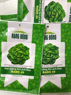Hạt giống Xà Lách Búp