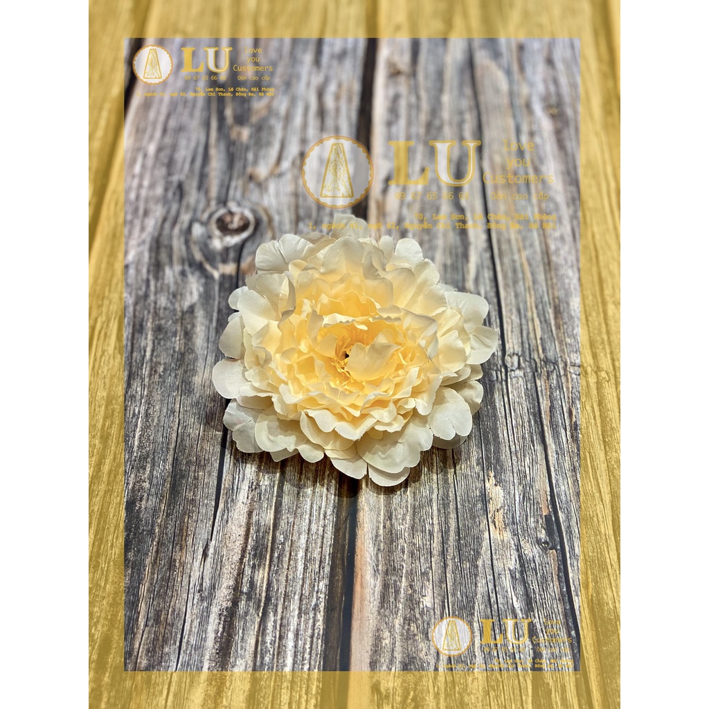 Đầu hoa mẫu đơn | LU
