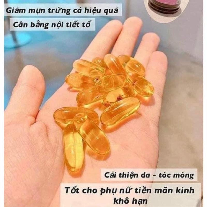 ( HỘP 190 VIÊN ) Viên uống tinh dầu hoa anh thảo Blackmores- CO037