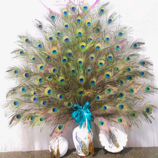 Combo 30 cành lông công 100cm loại mắt vừa