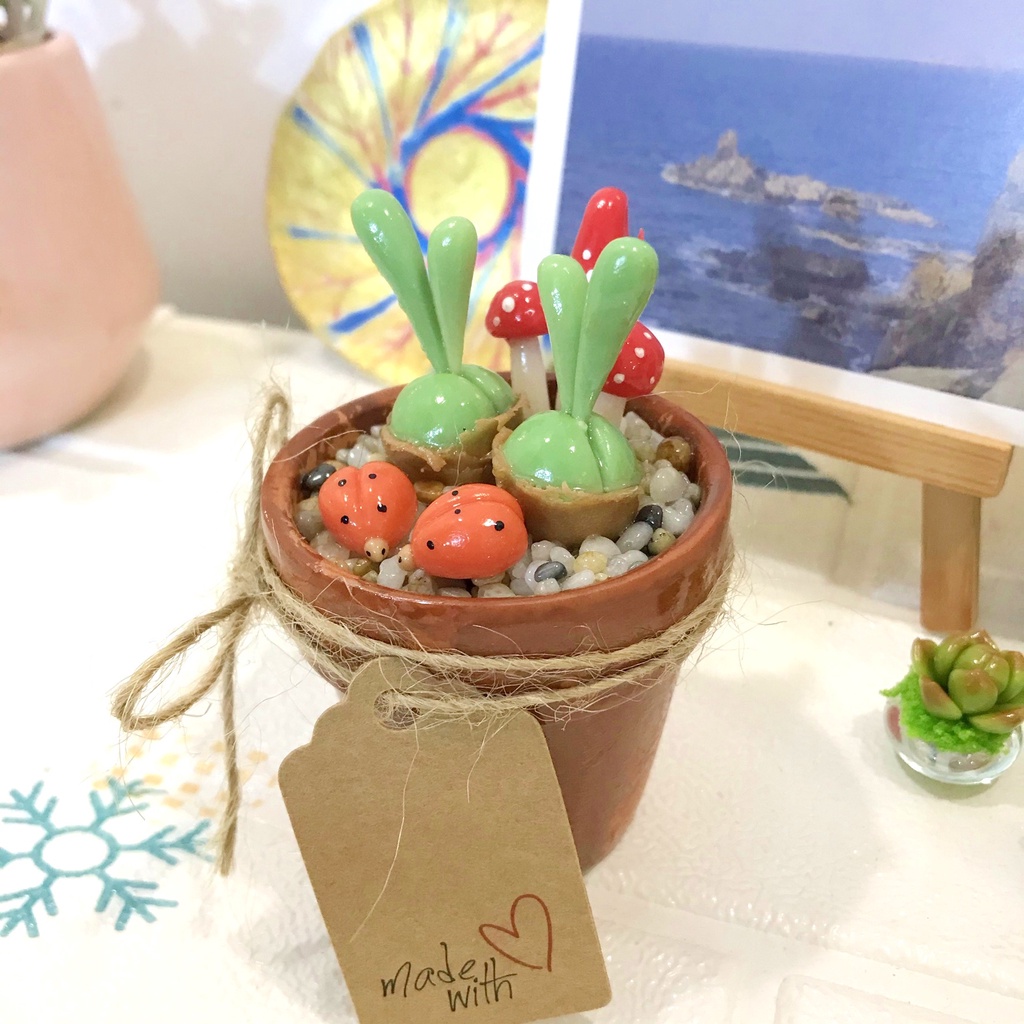 Chậu sen đá tai thỏ xanh size trung, sen đá làm từ đất sét