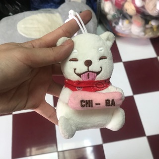 Gấu bông yumy