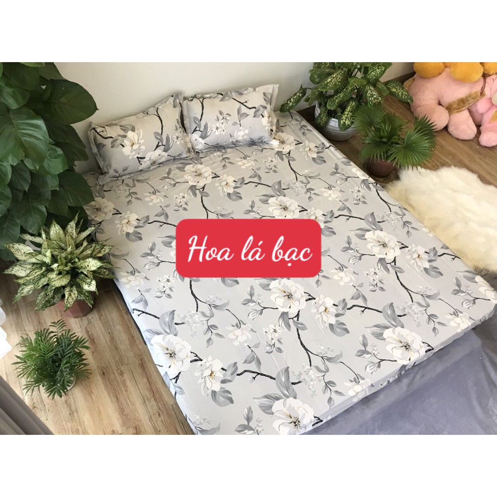 Bộ Ga Gối 3 món poly đệm 2mx2m2 họa tiết hoa lá bạc
