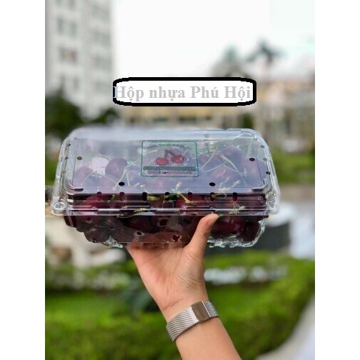 330 Hộp nhựa đựng trái cây 1kg P1000A giá 2550d