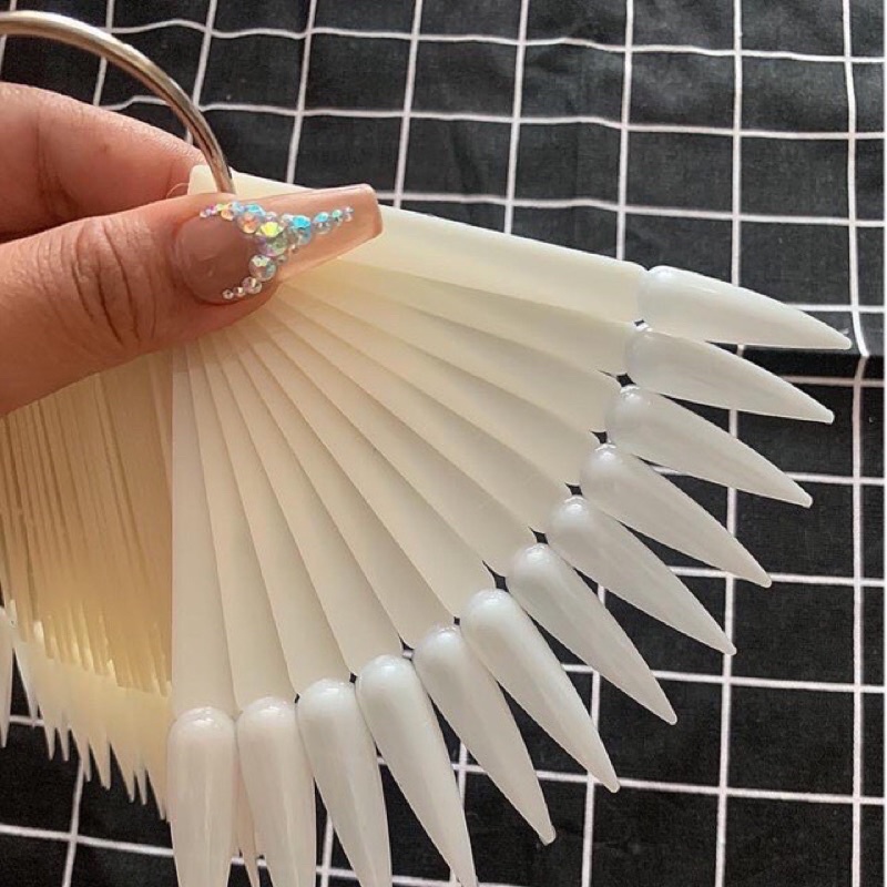 Móng que tập sơn vẽ trưng bày mẫu khách