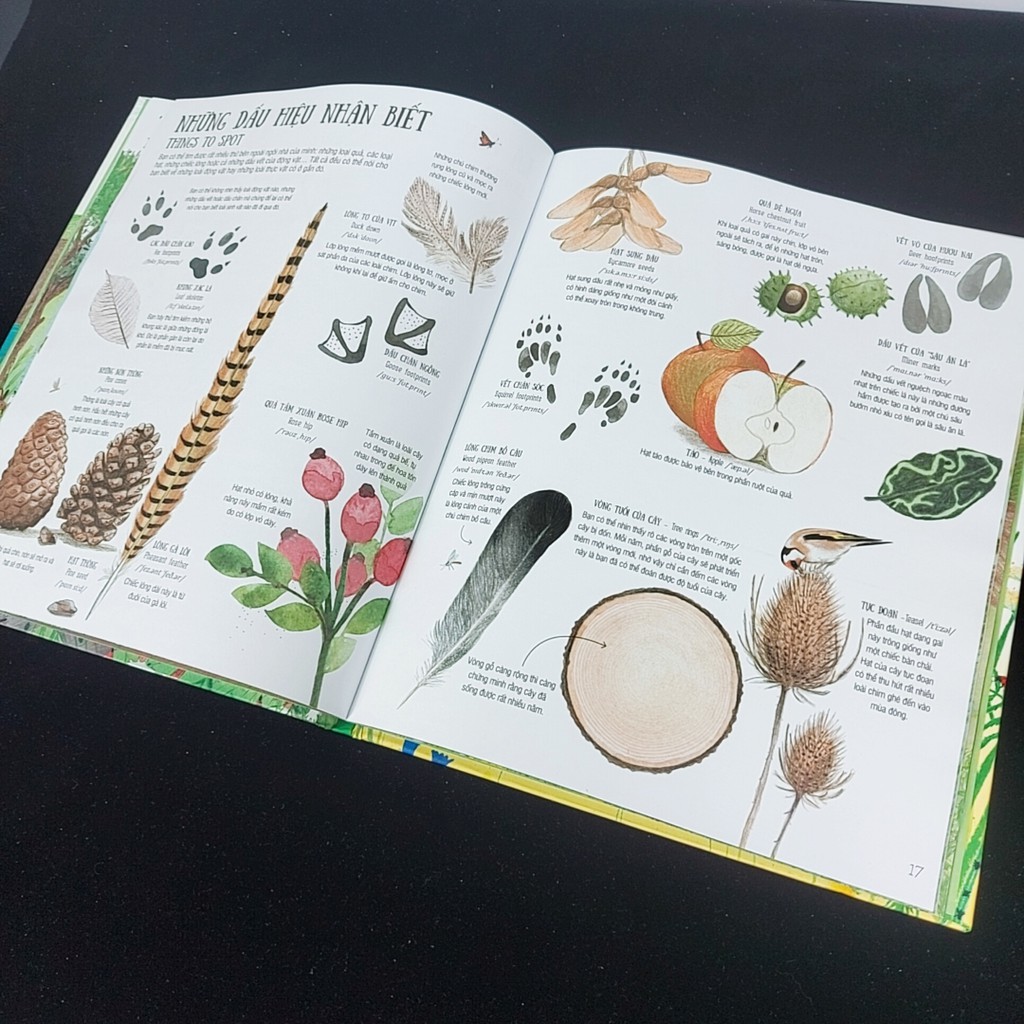 Sách - Cuốn sách tranh khổng lồ về thiên nhiên (dành cho bé 5 tuổi trở lên)