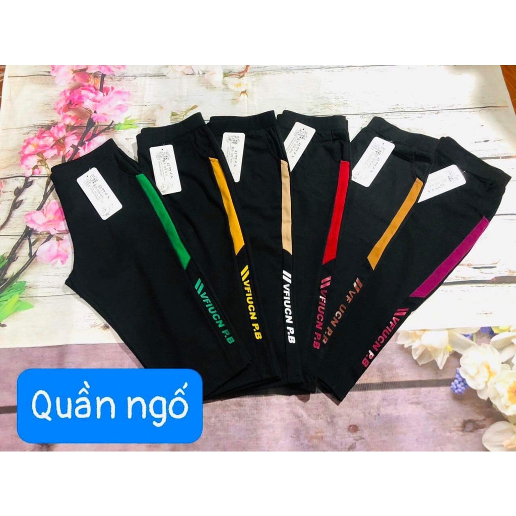 QUẦN NGỐ NỮ CHẤT UMI HÀN SIÊU ĐẸP, CO DÃN 4 CHIỀU