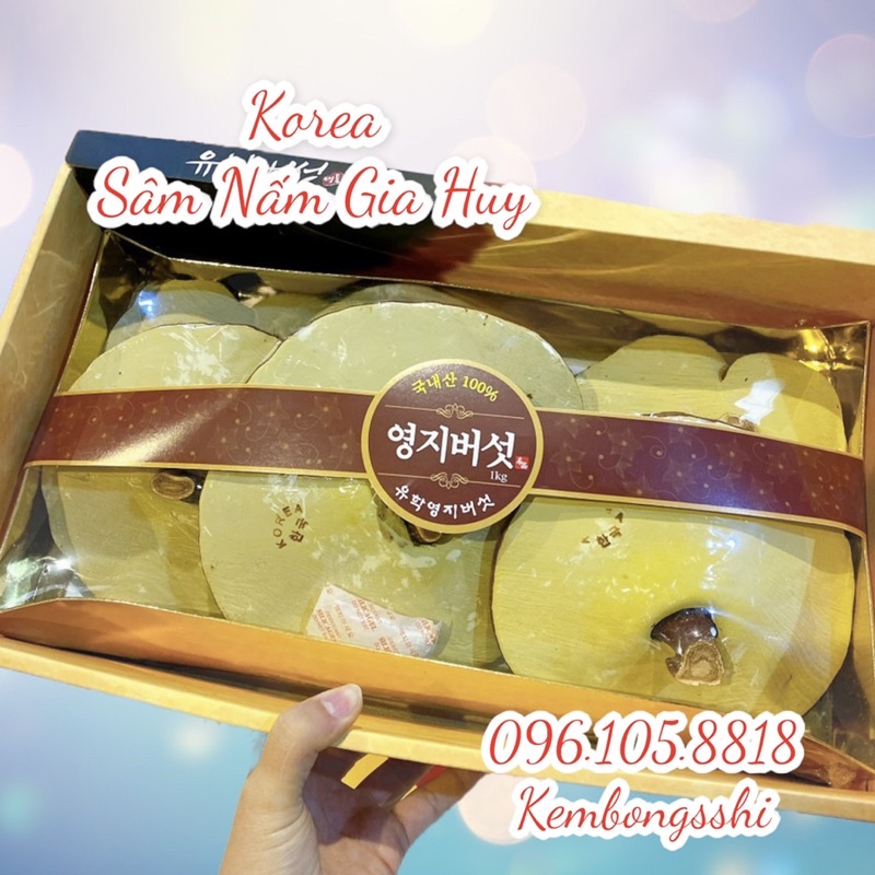 [DATE MỚI] Nấm Linh Chi Vàng Chanh Hàn Quốc Hộp Giấy Hình Cô Gái