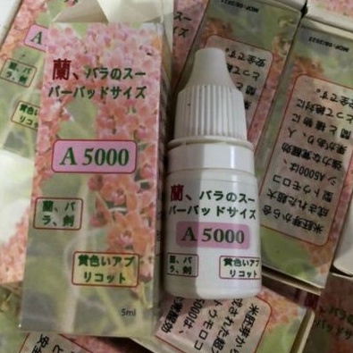 Kích ki kích hoa A5000 cực tốt