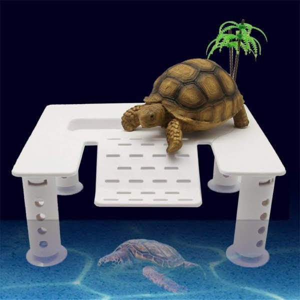 Bệ Tắm Nắng Cho Rùa 4 chân