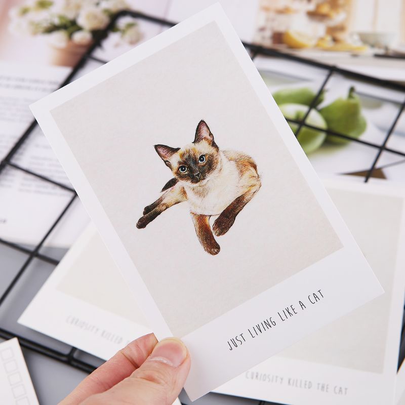 Bộ 30 Tấm Thẻ Bưu Thiếp Vẽ Hình Mèo Phong Cách Cổ Điển Độc Đáo