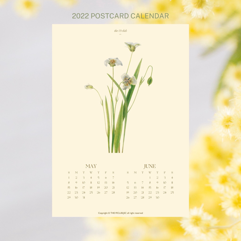 The19club - Bộ bưu thiếp lịch hoa 2022 kích thước A6 - Postcard Calendar