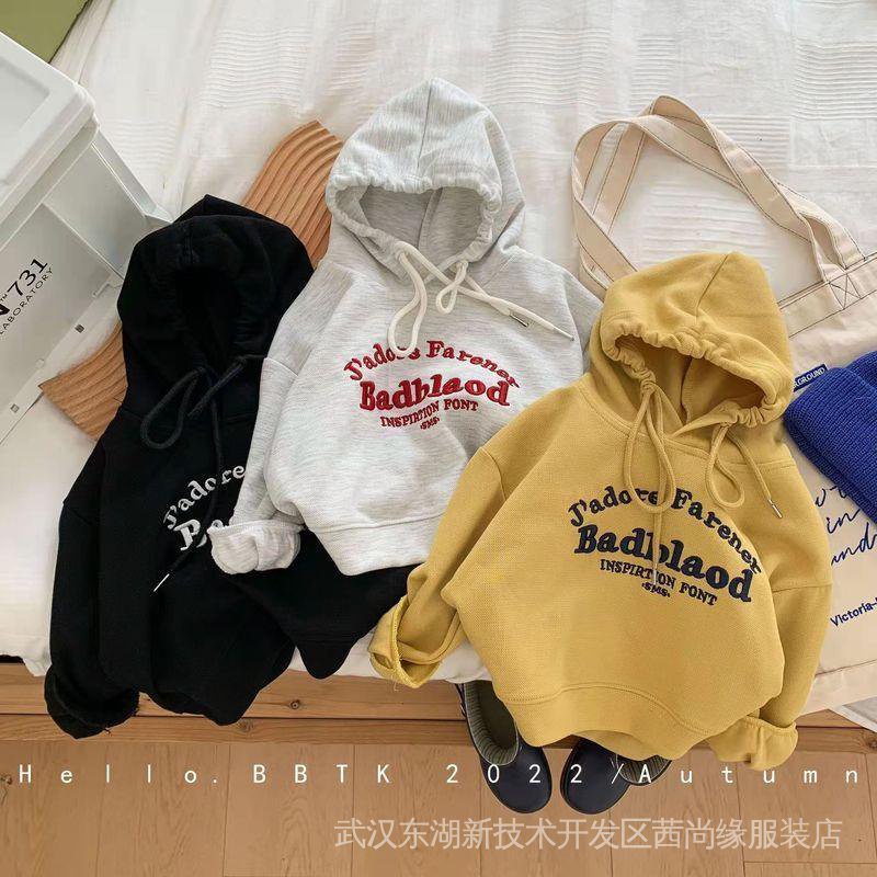Áo Hoodie Thêu Chữ Phong Cách Hàn Quốc Mới Cho Bé