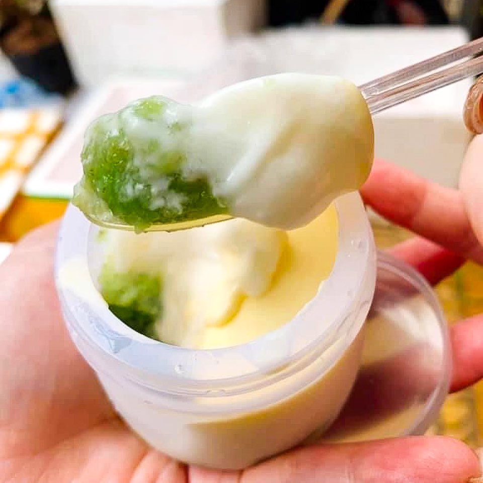 SỮA CHUA TÚI SỮA SẠCH NGUYÊN CHẤT & MIX VỊ HOA QUẢ SET 10 TÚI