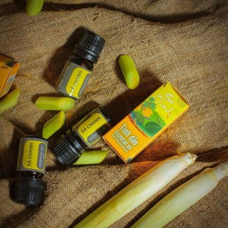 Tinh dầu tràm gió, sả chanh 5ml
