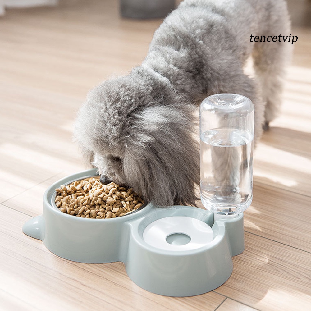 Khay đựng thức ăn và nước uống tự động cho thú cưng