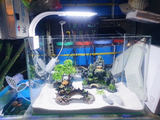 ĐÈN LED KẸP 1 BÊN HỒ CÁ THỦY SINH VIPSUN M280 MÀU TRẮNG HỒ 30 ĐẾN 40CM