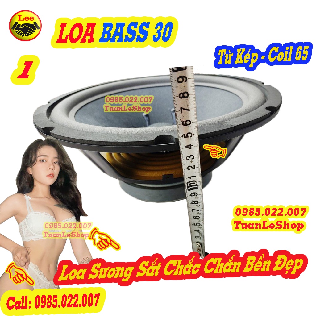 02 LOA BASS 30 GÂN MÚT COIL 65.5 TỪ KÉP KIỂU BMB – GIÁ 02 LOA BASS 3 TẤC TU KEP