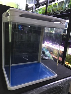 Bể cá để bàn kính liền