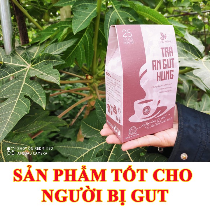 AN GÚT HƯNG trà cho người gút, viêm khớp, thoái hóa 25 gói 5g chính hãng thảo dược việt TN