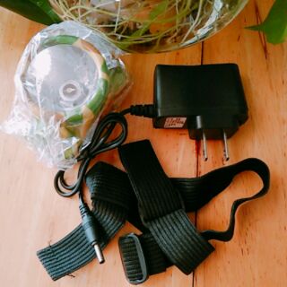 Đèn pin đeo đầu