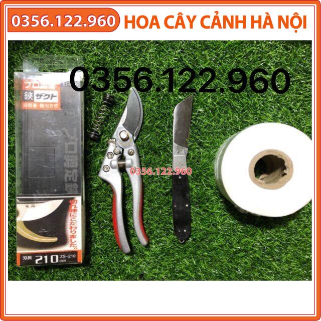Bộ 3 dụng cụ cắt chiết ghép cây