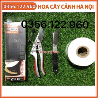 [Ảnh thật] Bộ 3 dụng cụ cắt chiết ghép cây (dao lưỡi đen cán gập, giấy ghép tự hủy khổ 5cm,kéo cắt cành SADA Nhật)