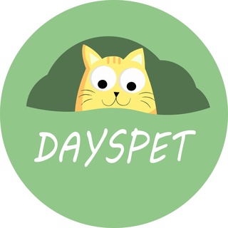 DaysPet.official