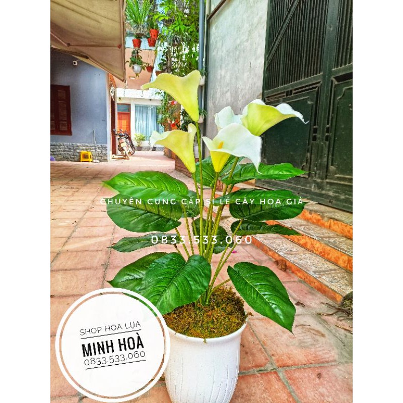 Cây Hoa Rum giả Cao 70cm, 5 bông - Ko kèm chậu - Cây cảnh giả trang trí nhà cửa,văn phòng,decor