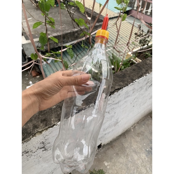 Bình bú sữa cho bê con 2 lít