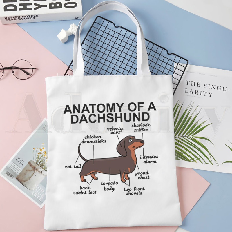 Túi Xách Đeo Vai Vải Canvas In Chữ Dachshund Vui Nhộn Thanh Lịch Cho Nữ