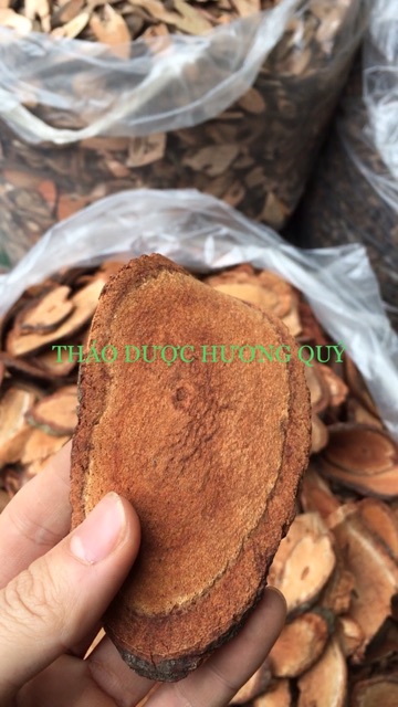 Combo 10kg cỏ máu nguyên chất tuyệt đối không pha (khô, sạch, chính hãng)