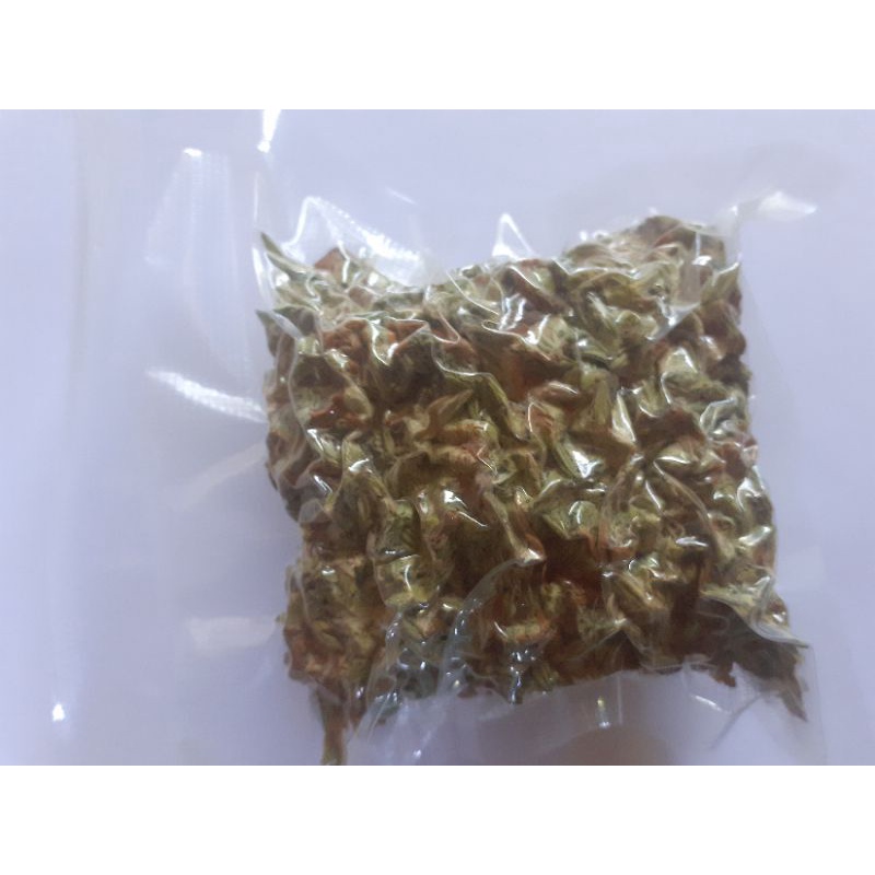 Bầu cây giống thiên lý/  pha trà/trà thảo mộc